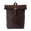 chestnut