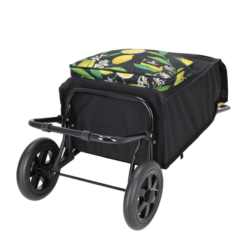 Daily Shopping Trolley 1