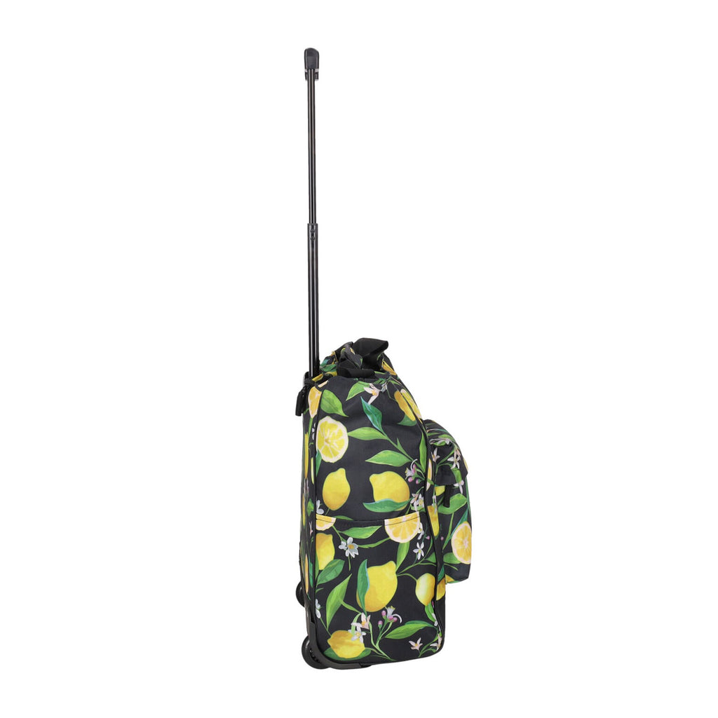 Daily Shopping Trolley 2