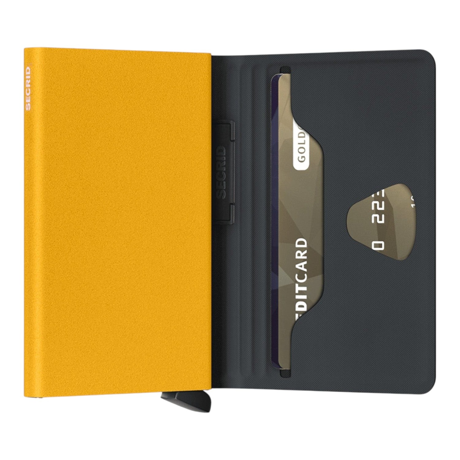 Bandwallet TPU