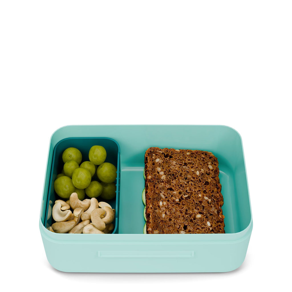 Lunchbox (plastic)