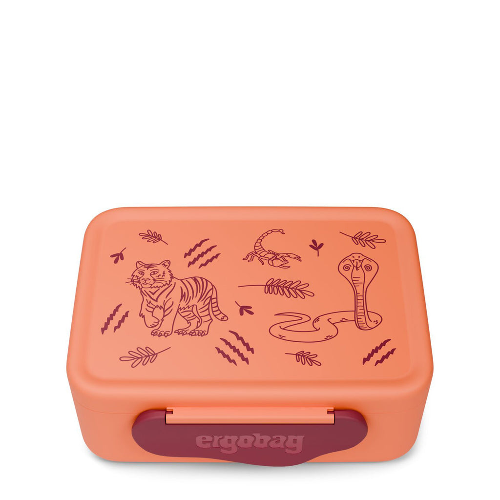 Lunchbox (plastic)