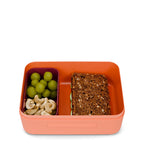 Lunchbox (plastic)