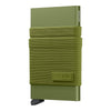 kelp