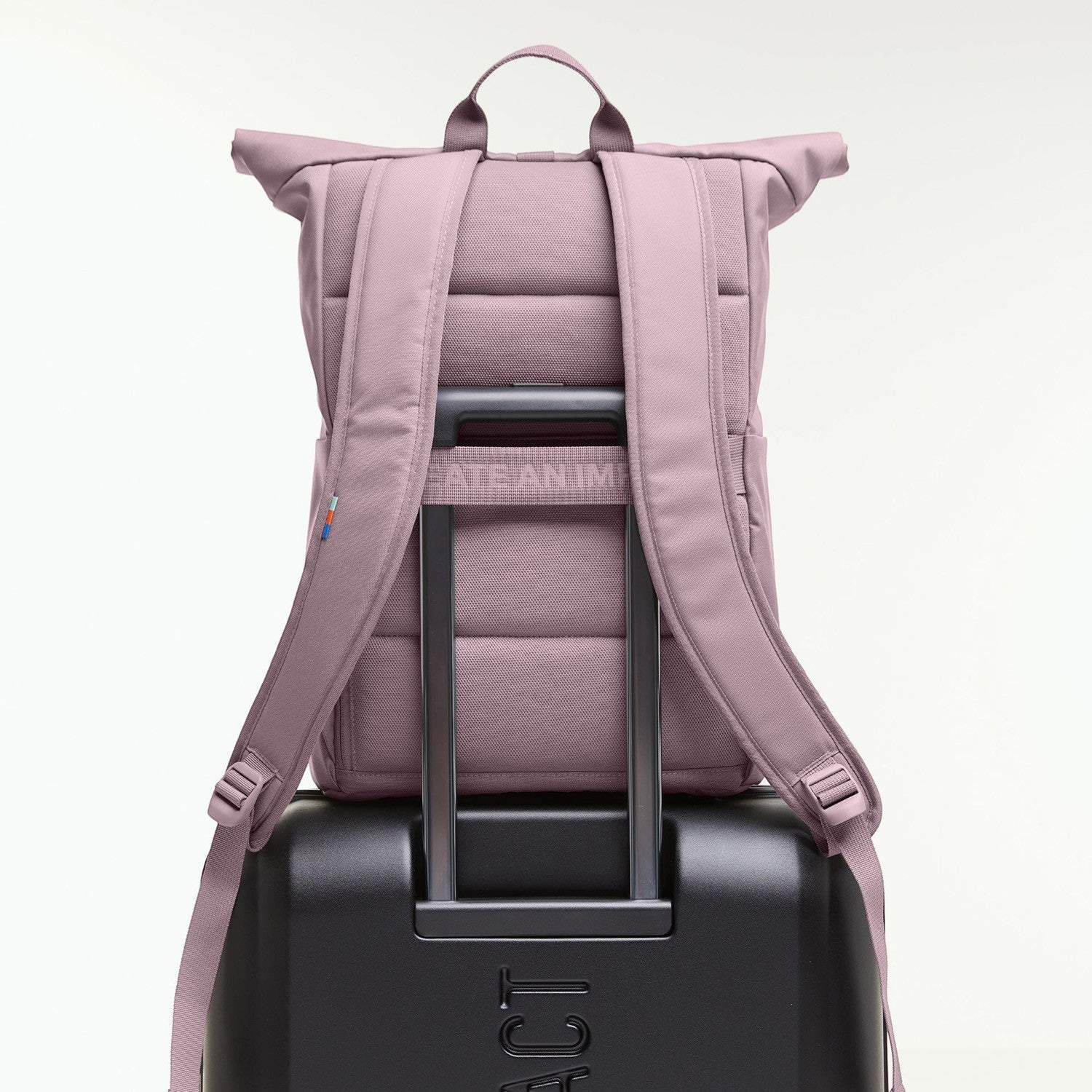 Lieblingstasche Rolltop Easy lilac backpack with padded straps, attached to a black suitcase.