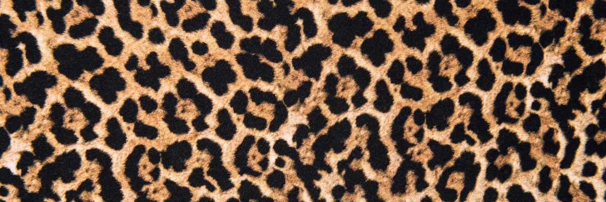 Trends_Animal-Print